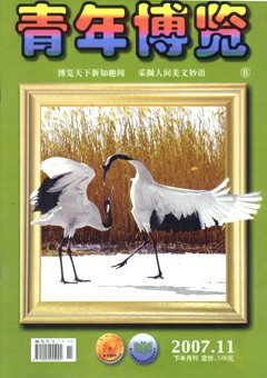 青年博览